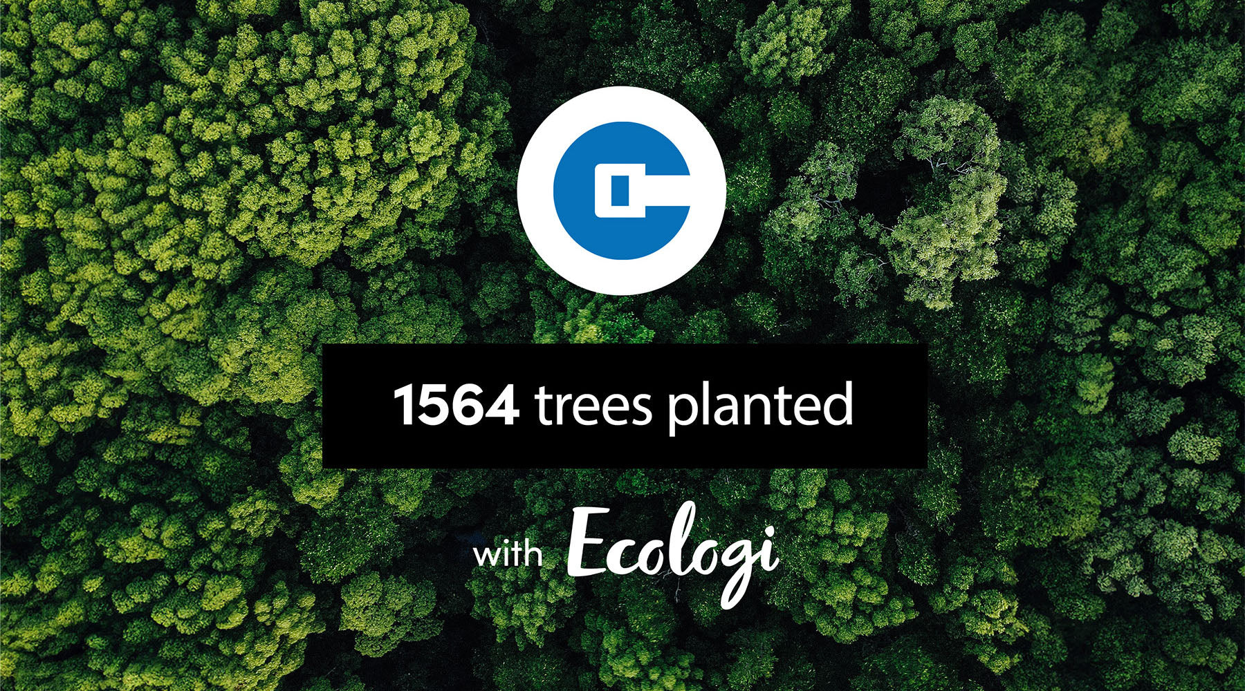 1564 trees planted with Ecologi!